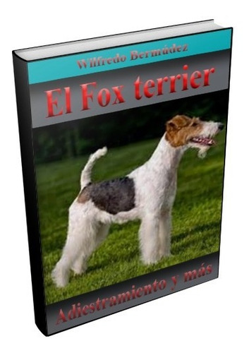 El Fox Terrier Adiestramiento Y Mas