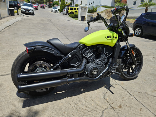 Indian Scout Rogue