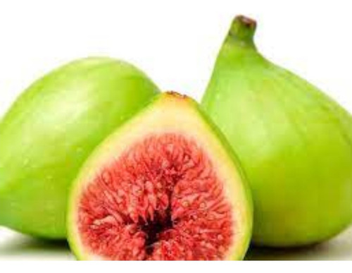 Imagen 1 de 10 de Higuera - Arbol De Higos Negro - E.gratis Caba.gba