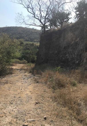Imagen 9 de 14 de Rancho En Amacuzac, Huantitlan, Morelos.
