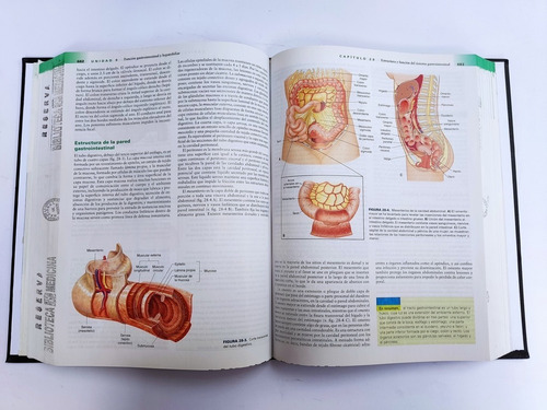 Libro Fundamentos De Fisiopatologia Carol Porth 159h4 (Usado)