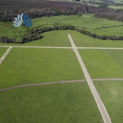 Vive Tranquilo A Minutos Del Centro De Angol (96863)