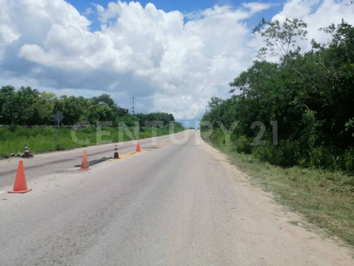 Venta De Terreno En Tizimín, Yucatán