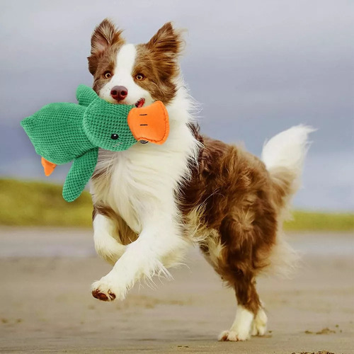 Brinquedo Para Cachorro Quack-quack Duck