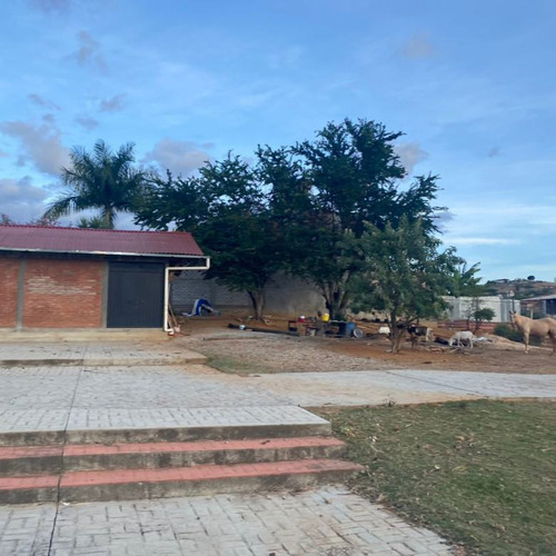 Rancho Mezcalero En Venta En Oaxaca