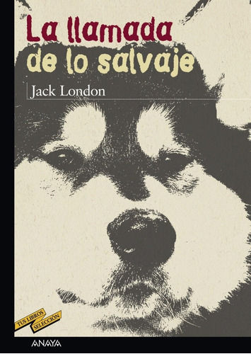 Libro: La Llamada De Lo Salvaje. London, Jack. Anaya