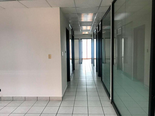 Oficina En Renta, Punta Campestre, Blvd. Campestre, León Guanajuato 166 M²