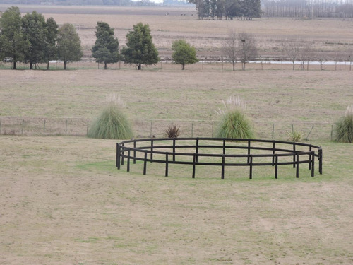 Imagen 20 de 24 de Campo En Venta 50 Has En Punta Indio - Excelente Casco - Ideal Haras