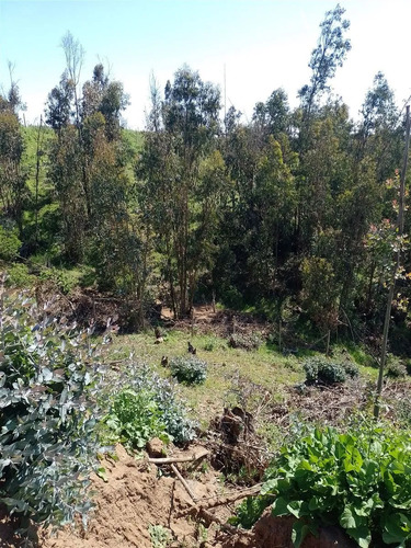 Sitio En Venta En Quintero