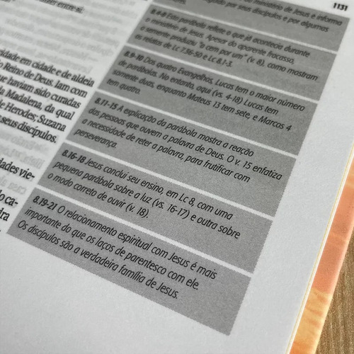 Bíblia Sagrada Jornada Espiral | Naa| Capa Dura Leão