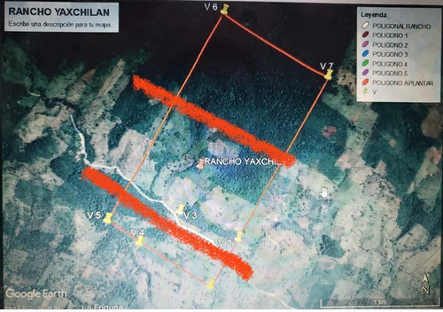 Terreno De 190 Hectáreas Cerca De Palenque