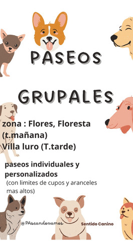 Paseador De Perros (flores, Floresta, Villa Luro)