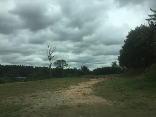 Imagem 15 de 30 de Área À Venda, 20000 M² Por R$ 5.000.000 - Éden - Sorocaba/sp, Próximo Ao Paço Municipal. - Ar0007 - 67640121