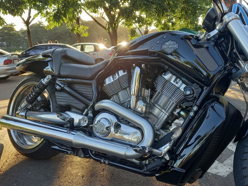 Harley Davidson V Rod Muscle