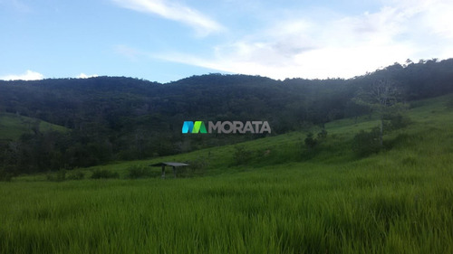 Imagem 9 de 15 de Fazenda - Zona Rural - Ref: 4269 - V-mta4269