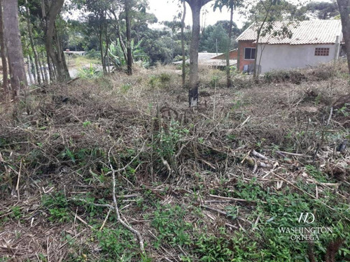 Imagem 3 de 14 de Chácara À Venda, 34000 M² Por R$ 1.900.000,00 - Colônia Murici - São José Dos Pinhais/pr - Ch0061