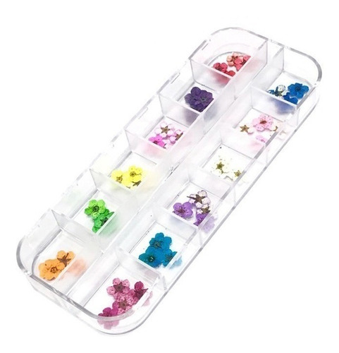 Flores Secas Encapsulamento Unhas Decoração Caixa Uv Led