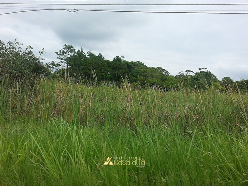 Imagem 6 de 7 de Terreno Grande Na Rodovia Das Praias. - Te0028-1