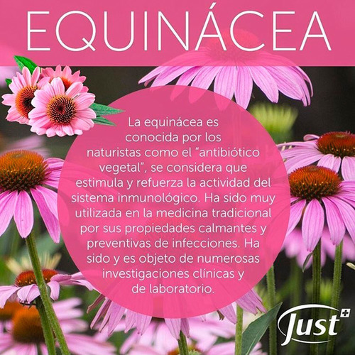 Imagen 5 de 7 de Esencia De Equinacea Ginseng 50ml Swiss Just Original