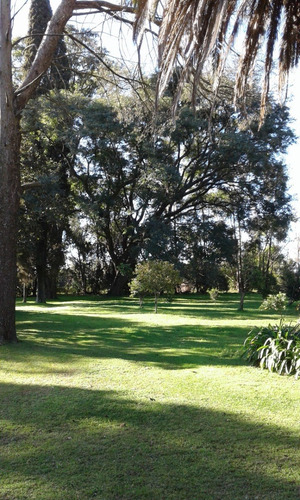 Imagen 20 de 20 de Casa Quinta - Única - En Gualeguay