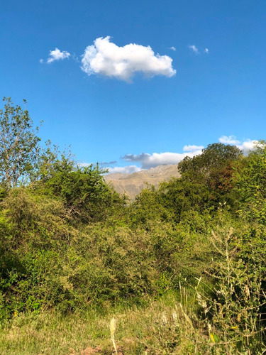 Imagen 9 de 14 de Lote De 3560m2 - Las Chacras - Villa De Las Rosas / Trasla