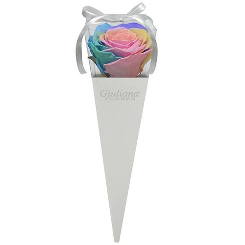 Cone Branco Da Rosa Encantada Candy Color Giuliana Flores | MercadoLivre