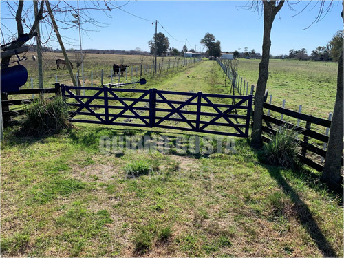 Imagen 4 de 13 de Campo Venta Las Heras Cabaña Producción Engorde Villars