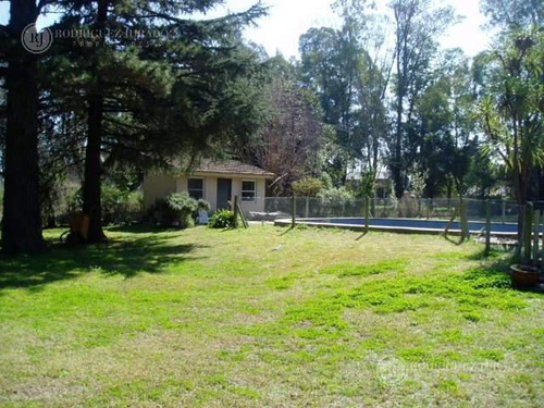 Imagen 2 de 3 de Lote En Benavidez Sobre Calle Patricios - A Metros De Avenida Benavidez