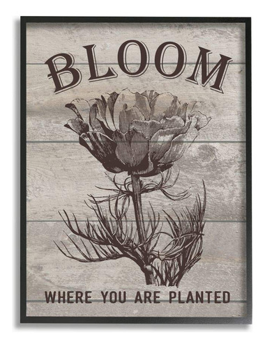 The Stupell Home Decor Collection Bloom Where Youre Planted.