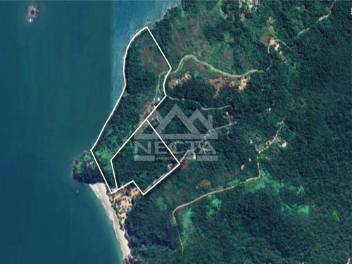 Imagem 2 de 4 de Terreno Á Venda, Em Costeira Com 116.819 M², Praia Da Almada, Ubatuba/sp. - Ar00022 - 68124012