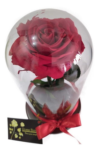 Rosa Preservada Premium 100% Natural + Cúpula + Envio Gratis