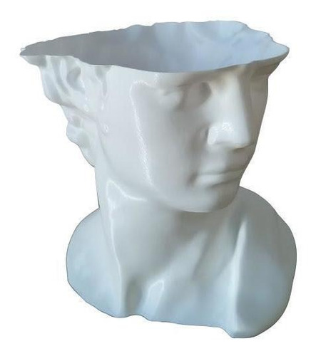 Vaso Cachepot Cabeça De David De Michelangelo Branco