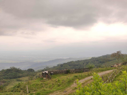 Imagen 15 de 25 de Finca Posada En Venta Táchira