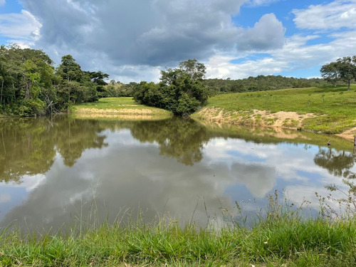 Imagem 1 de 20 de Chácara À Venda! Em Goianésia - Go, 13 Alqueres A 14.5 Km De Goianésia, Com 2 Nascente De Água Dentro.
