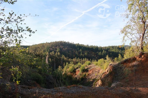 Sitio En Venta En Santa Juana