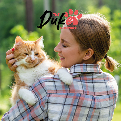 Arena Para Gato 20 Kilos Duke Bentonita Aglutinante Lavanda