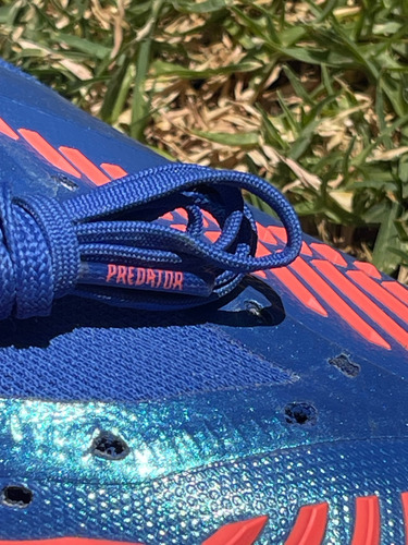 Predator Edge.1 Low Adidas Calzado Para Fútbol Pro (Usado)