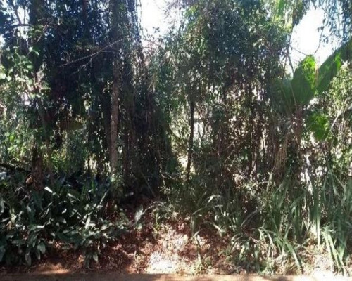 Imagem 6 de 6 de Oportunidade: Lindo Terreno Com 1570mts², Á Venda No Condomínio Santa Fé Em Vinhedo/ Sp. - Te002495 - 67742464