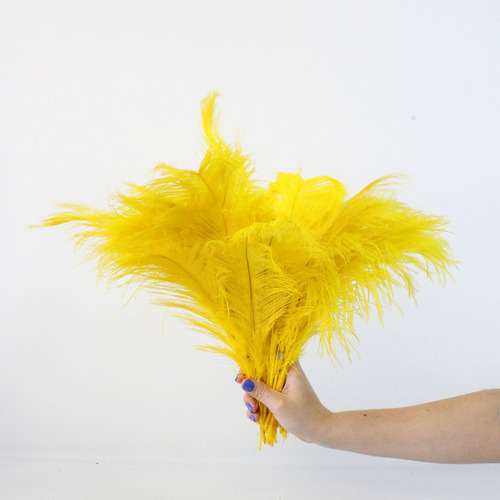 Plumas Palito Decoração Para Arranjo E Fantasia 100g Cor Amarelo Canário