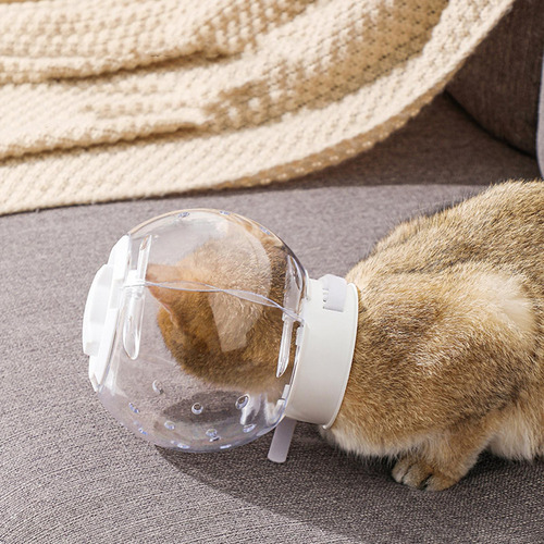 Para Gato, Casco Para Gato, Transpirable, Antimordidas,