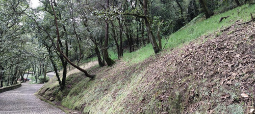Imagen 5 de 8 de Terreno En Pintoresco Fraccionamiento Frente A Rancho San Fr