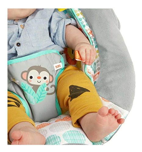 Bright Starts Comfy Baby Bouncer Soothing Vibrations Infant