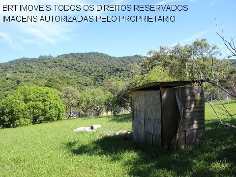 Imagem 9 de 21 de Te00110 - Taipas De Pedra - São Roque - Sp - Te00110 - 33617461