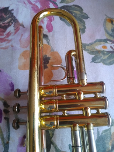 Wisemann (Usado)