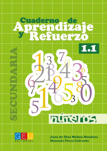 Libro - Cuaderno De Aprendizaje Y Refuerzo 1.1 