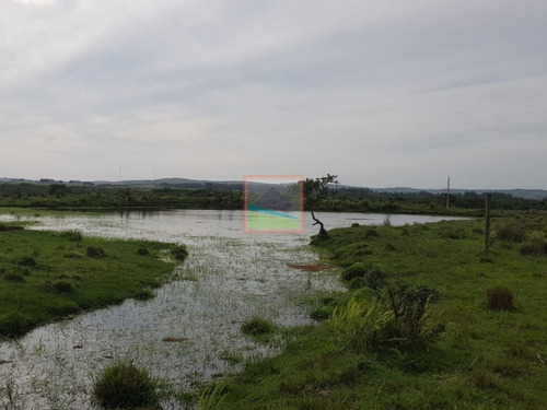 Imagen 6 de 14 de Campo 57 Hás En Garzón