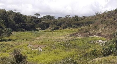 Francys Sanchez Vende Lote De Terreno Tipo A. Ideal Para Cultivar, Ubicado En Nirgua - Sector Salom Y Temerla - Edo. Yaracuy 