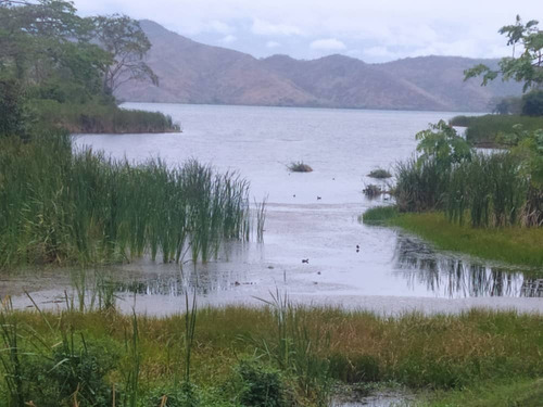 Imagen 14 de 14 de Finca En Yaracuy Municipio Bruzual Cumaripa