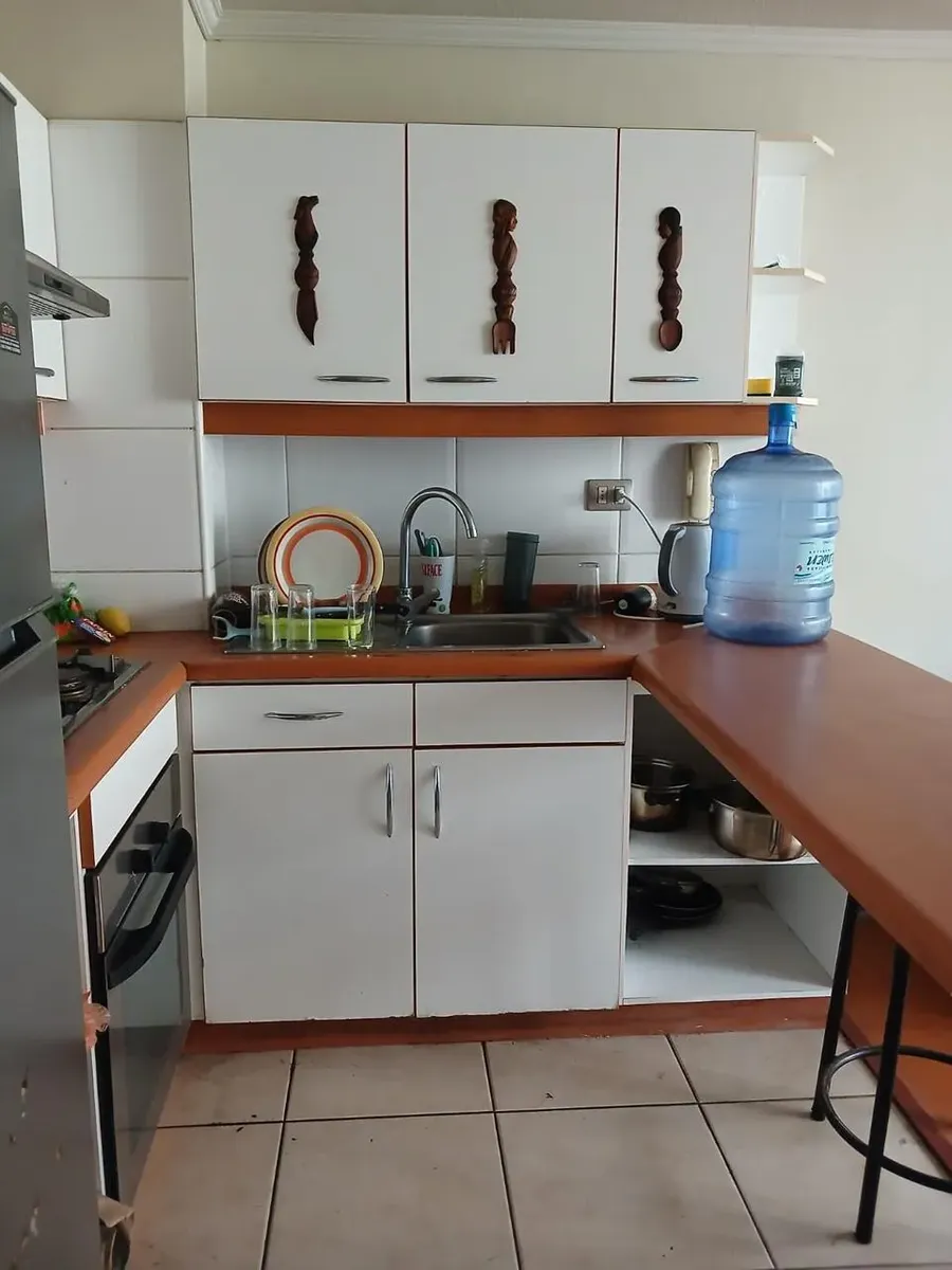 Imagen 3 de 24 de Vendo 1d1b Ideal Inversión, Metro Parque Almagro
