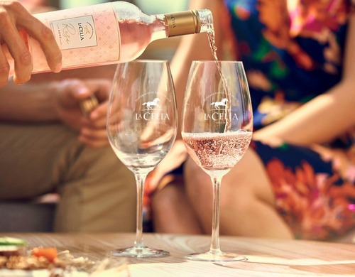 Imagen 3 de 3 de Vino La Celia Rose 2020 Valle De Uco